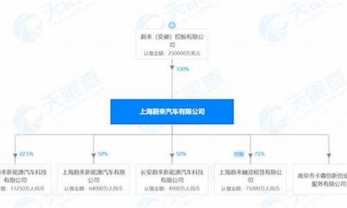 蔚来汽车股东结构变化,蔚来汽车股东结构变化图