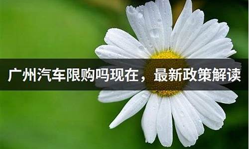 广州汽车限购政策2020最新标准图片_广州汽车限购政策2020最新标准