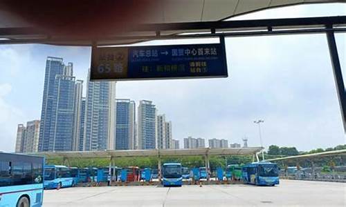 东莞总站到厦门汽车,东莞东站到厦门汽车票价