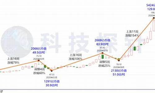 比亚迪股票600609-比亚迪历史最高股价