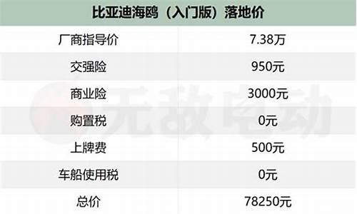 比亚迪海鸥车型-比亚迪海鸥保险费一年多少钱